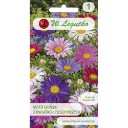 Aster chiński Madeleine pojedynczy mieszanka 1g - Nasiona - W. Legutko Aster chiński Madeleine pojedynczy mieszanka 1g - Nasiona - W. Legutko