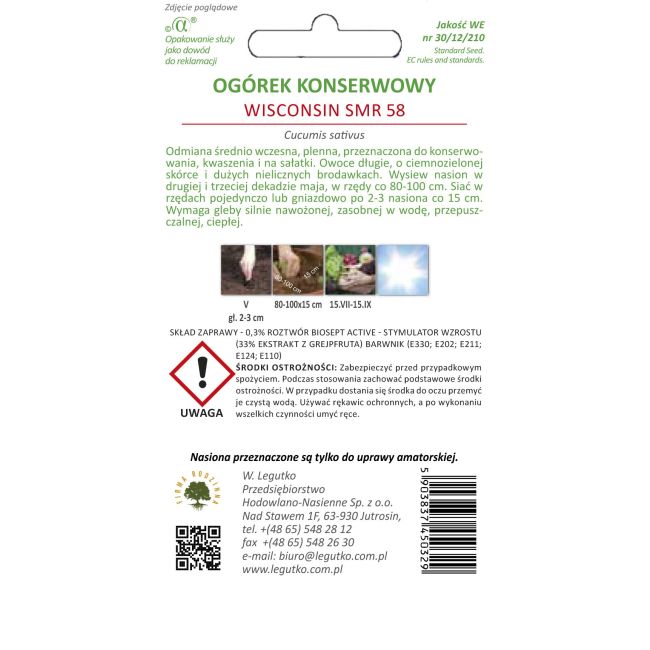 Ogórek gruntowy - Wisconsin SMR 58 - nas. zaprawiane - Nasiona - W. Legutko