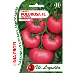 Pomidor pod osłony Polorosa F1