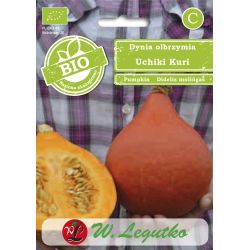 Dynia olbrzymia BIO Uchiki Kuri 2g - Nasiona - W. Legutko Dynia olbrzymia BIO Uchiki Kuri 2g - Nasiona - W. Legutko