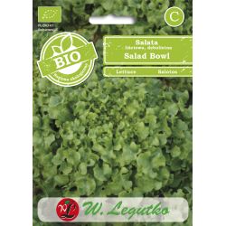 Sałata BIO Salad Bowl 0.50g - Nasiona - W. Legutko Sałata BIO Salad Bowl 0.50g - Nasiona - W. Legutko