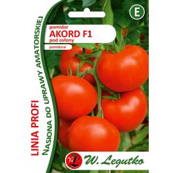 Pomidor/Solanum lycopersicum/Akord F1/czerwone/30nas.