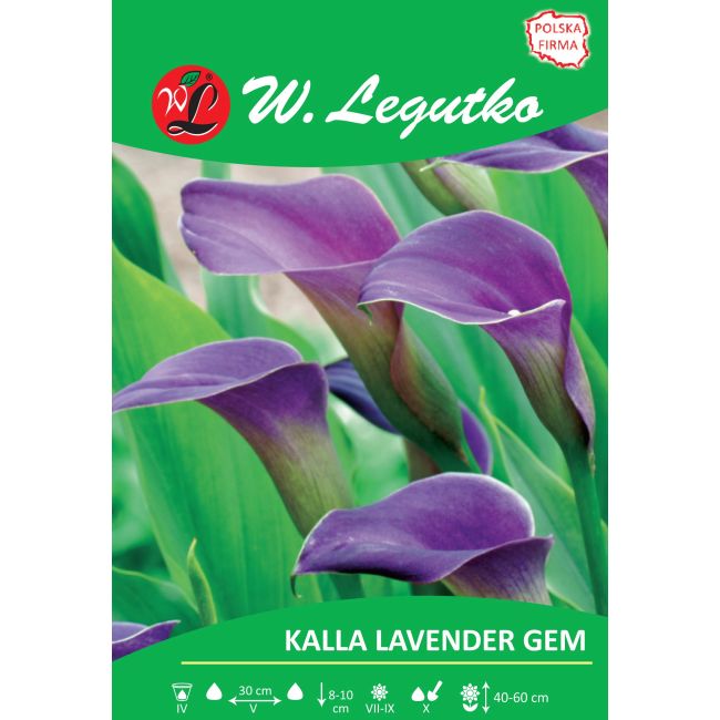 Kalla - Lavender Gem - lawendowa - 1szt. - Cebule i Kłącza - W. Legutko