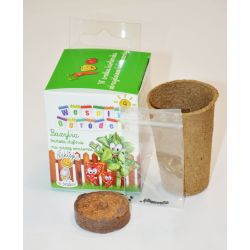 Zestaw: Krążek i doniczka Bazylia właściwa 1szt. - Nasiona - W. Legutko Zestaw: Krążek i doniczka Bazylia właściwa 1szt. - Nasiona - W. Legutko