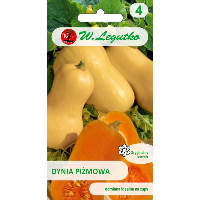 Dynia piżmowa - Butternut - Nasiona - W. Legutko