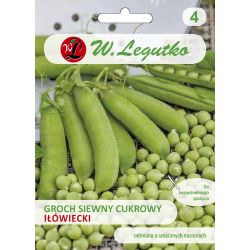 Groch Iłówiecki 40g - Nasiona - W. Legutko