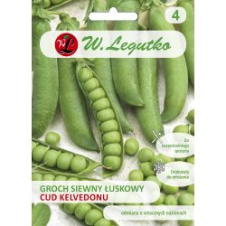 Groch Cud Kelvedonu 40g - Nasiona - W. Legutko
