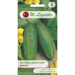 Ogórek Marcel F1 5g - Nasiona - W. Legutko