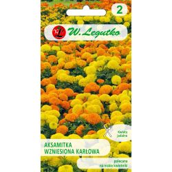 Aksamitka wzniesiona karłowa mieszanka 0.50g - Nasiona - W. Legutko Aksamitka wzniesiona karłowa mieszanka 0.50g - Nasiona - W. Legutko