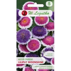 Aster chiński Moonshine mieszanka 0.30g - Nasiona - W. Legutko