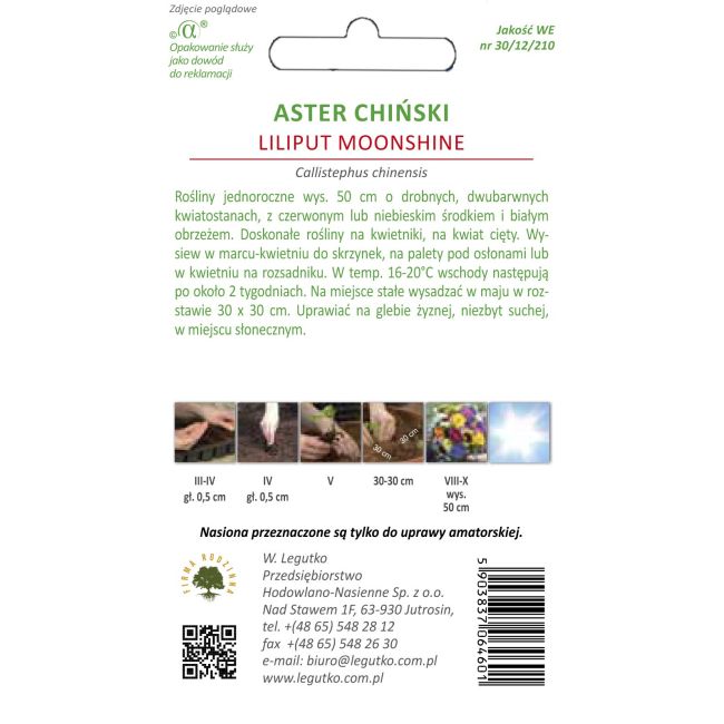 Aster chiński Liliput - Moonshine - Nasiona - W. Legutko
