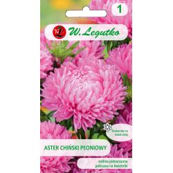 Aster chiński peoniowy różowy 1g - Nasiona - W. Legutko Aster chiński peoniowy różowy 1g - Nasiona - W. Legutko