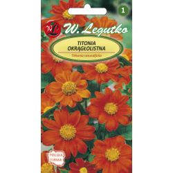 Titonia okrągłolistna pomarańczowo-czerwona 1g - Nasiona - W. Legutko