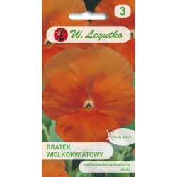 Bratek Orange Sun pomarańczowy 0.40g - Nasiona - W. Legutko Bratek Orange Sun pomarańczowy 0.40g - Nasiona - W. Legutko