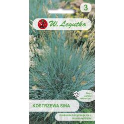 Kostrzewa sina srebrnoniebieska 0.20g - Nasiona - W. Legutko