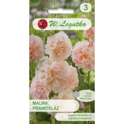 Malwa, Prawoślaz łososiowa 0.50g - Nasiona - W. Legutko
