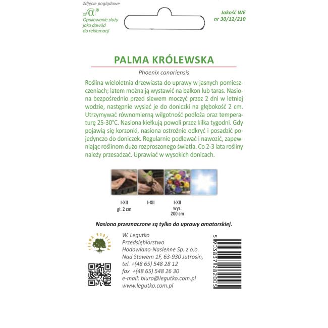Palma królewska - Nasiona - W. Legutko