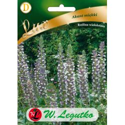 Akant miękki biało-różowy 2.50g - Nasiona - W. Legutko Akant miękki biało-różowy 2.50g - Nasiona - W. Legutko