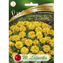 Aksamitka rozpierzchła Honey Moon złoto-żółta 0.50g - Nasiona - W. Legutko Aksamitka rozpierzchła Honey Moon złoto-żółta 0.50g - Nasiona - W. Legutko