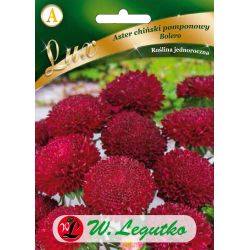 Aster chiński pomponowy czerwony 0.50g - Nasiona - W. Legutko Aster chiński pomponowy czerwony 0.50g - Nasiona - W. Legutko