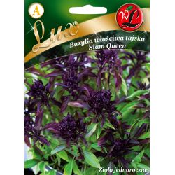 Bazylia właściwa Siam Queen 1g - Nasiona - W. Legutko Bazylia właściwa Siam Queen 1g - Nasiona - W. Legutko