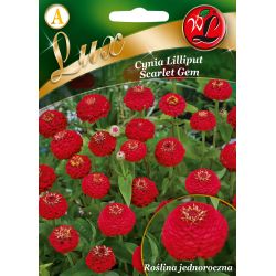 Cynia wytworna Scarlet Gem szkarłatna 0.50g - Nasiona - W. Legutko Cynia wytworna Scarlet Gem szkarłatna 0.50g - Nasiona - W. Legutko