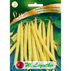 Fasola zwykła Maxidor 50g - Nasiona - W. Legutko