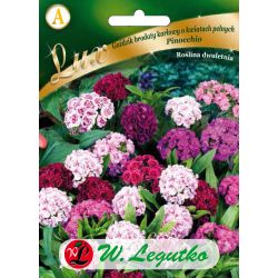 Goździk brodaty Pinocchio mieszanka 0.50g - Nasiona - W. Legutko Goździk brodaty Pinocchio mieszanka 0.50g - Nasiona - W. Legutko