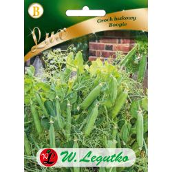 Groch Boogie 50g - Nasiona - W. Legutko