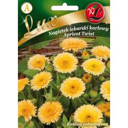Nagietek lekarski Apricot Twist brzoskwiniowy 2g - Nasiona - W. Legutko