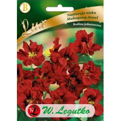Nasturcja niska Mahogany Jewel mahoniowa 5g - Nasiona - W. Legutko