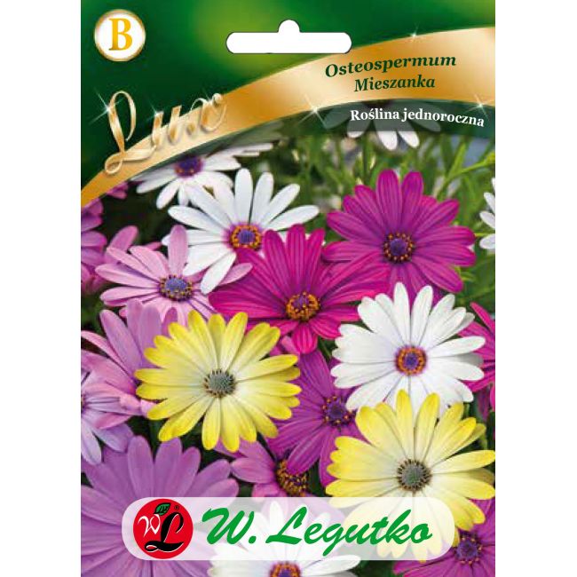 Osteospermum - mieszanka - Nasiona - W. Legutko