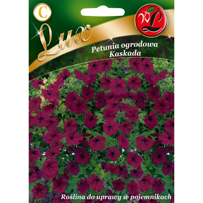 Petunia ogrodowa - Kaskada - purpurowa - Nasiona - W. Legutko