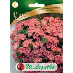 Petunia ogrodowa o pędach zwisających łososiowa 0.02g - Nasiona - W. Legutko Petunia ogrodowa o pędach zwisających łososiowa 0.02g - Nasiona - W. Legutko