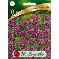 Werbena patagońska liliowa 0.30g - Nasiona - W. Legutko