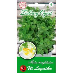 Mięta okrągłolistna 0.10g - Nasiona - W. Legutko
