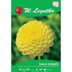 Dalia Sonata żółta 1szt. - Cebule i Kłącza - W. Legutko
