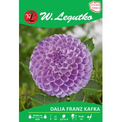 Dalia Franz Kafka różowa 1szt. - Cebule i Kłącza - W. Legutko