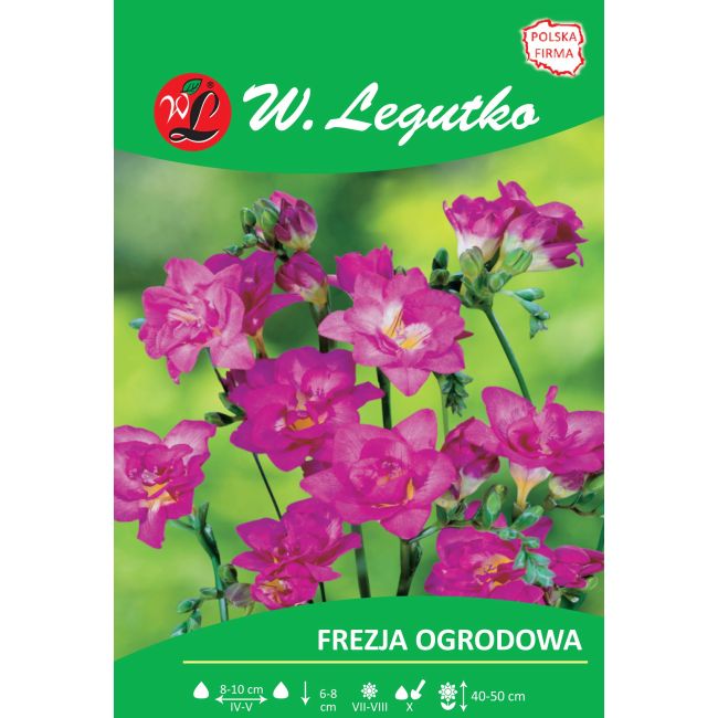 Frezja ogrodowa - pełna - różowa - 10szt. - Cebule i Kłącza - W. Legutko