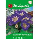 Gloksynia - Tigrina Blue - fioletowa - 1szt. - Cebule i Kłącza - W. Legutko