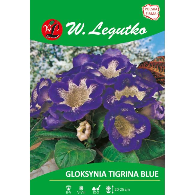 Gloksynia - Tigrina Blue - fioletowa - 1szt. - Cebule i Kłącza - W. Legutko