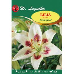 Lilia Centerfold biała z purpurowym śr. 1szt. - Cebule i Kłącza - W. Legutko Lilia Centerfold biała z purpurowym śr. 1szt. - Cebule i Kłącza - W. Legutko