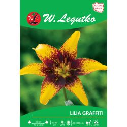 Lilia Graffiti żółta, nakrapiana 1szt. - Cebule i Kłącza - W. Legutko