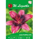 Lilia - Purple Eye - azjatycka - purpurowa - 1szt. - Cebule i Kłącza - W. Legutko