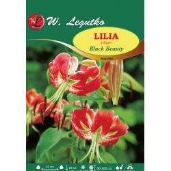 Lilia Black Beauty amarantowa, nakrapiana 1szt. - Cebule i Kłącza - W. Legutko