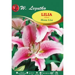 Lilia Mona Lisa różowo-czerwona 1szt. - Cebule i Kłącza - W. Legutko