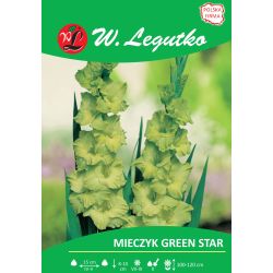 Mieczyk Green Star zielony 5szt. - Cebule i Kłącza - W. Legutko