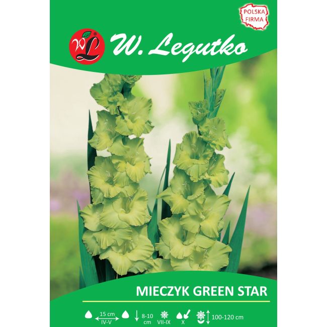 Mieczyk - Green Star - wielkokwiatowy - 5szt. - Cebule i Kłącza - W. Legutko