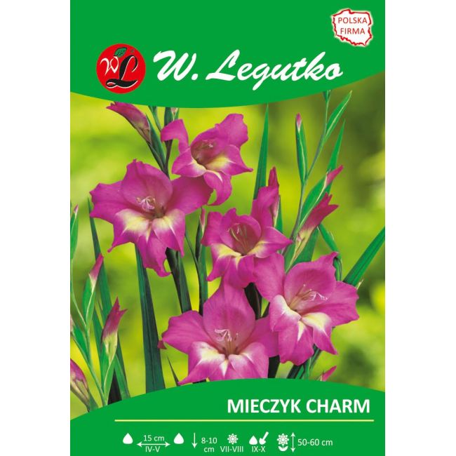 Mieczyk - karłowy - Charm - Cebule i Kłącza - W. Legutko