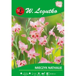 Mieczyk Nathalie różowy z plamą 5szt. - Cebule i Kłącza - W. Legutko